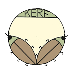 kerf